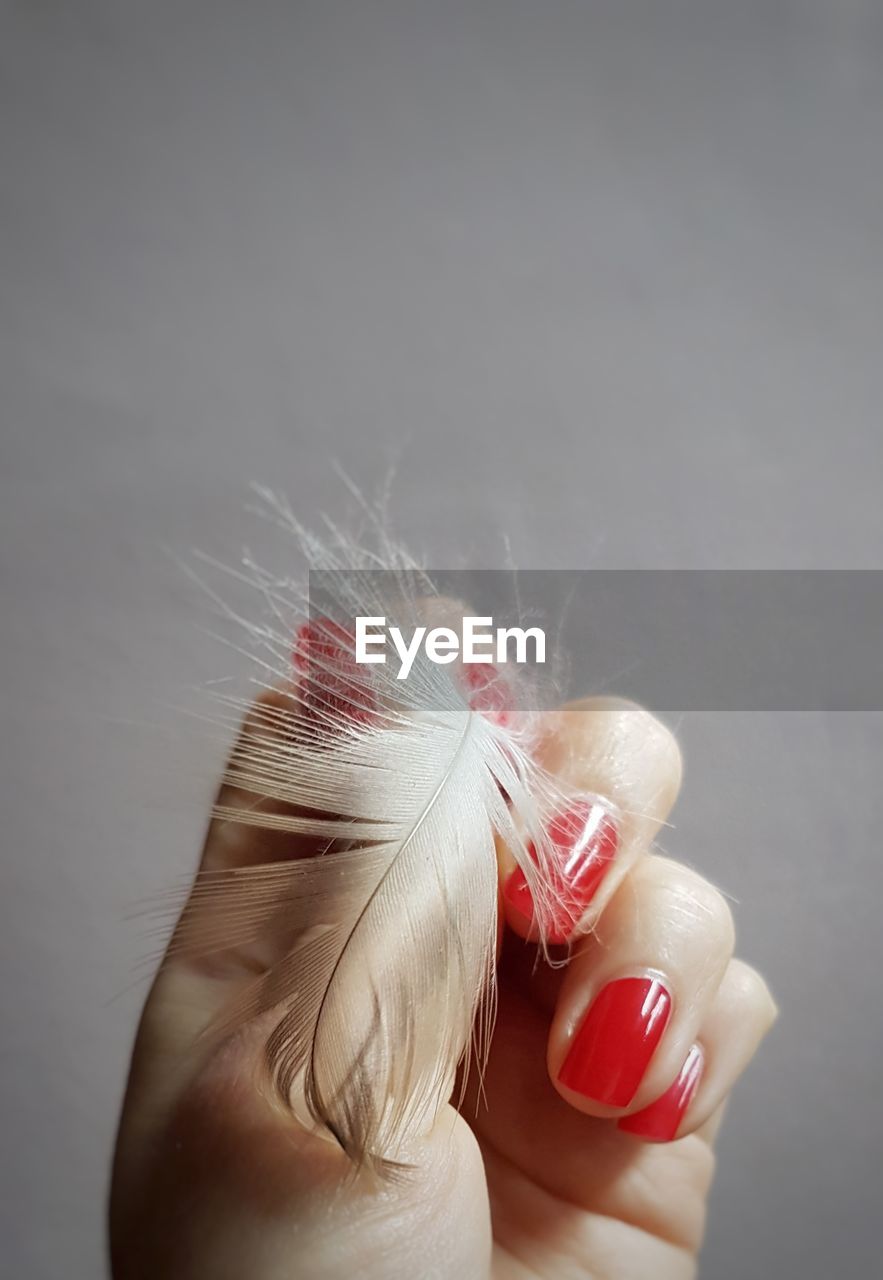 Cropped hand of woman holding feather against gray background