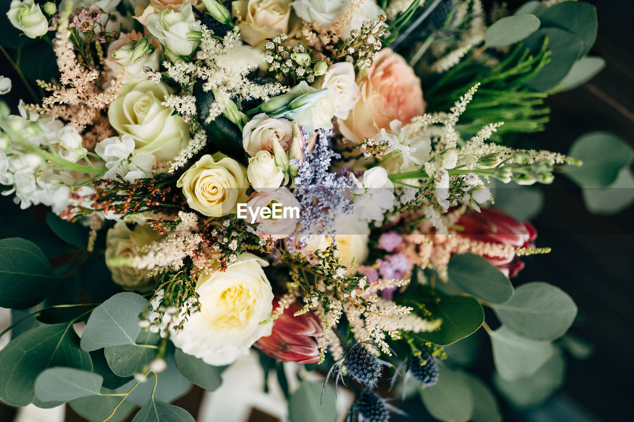 HIGH ANGLE VIEW OF ROSE BOUQUET ON WHITE FLOWERING PLANT