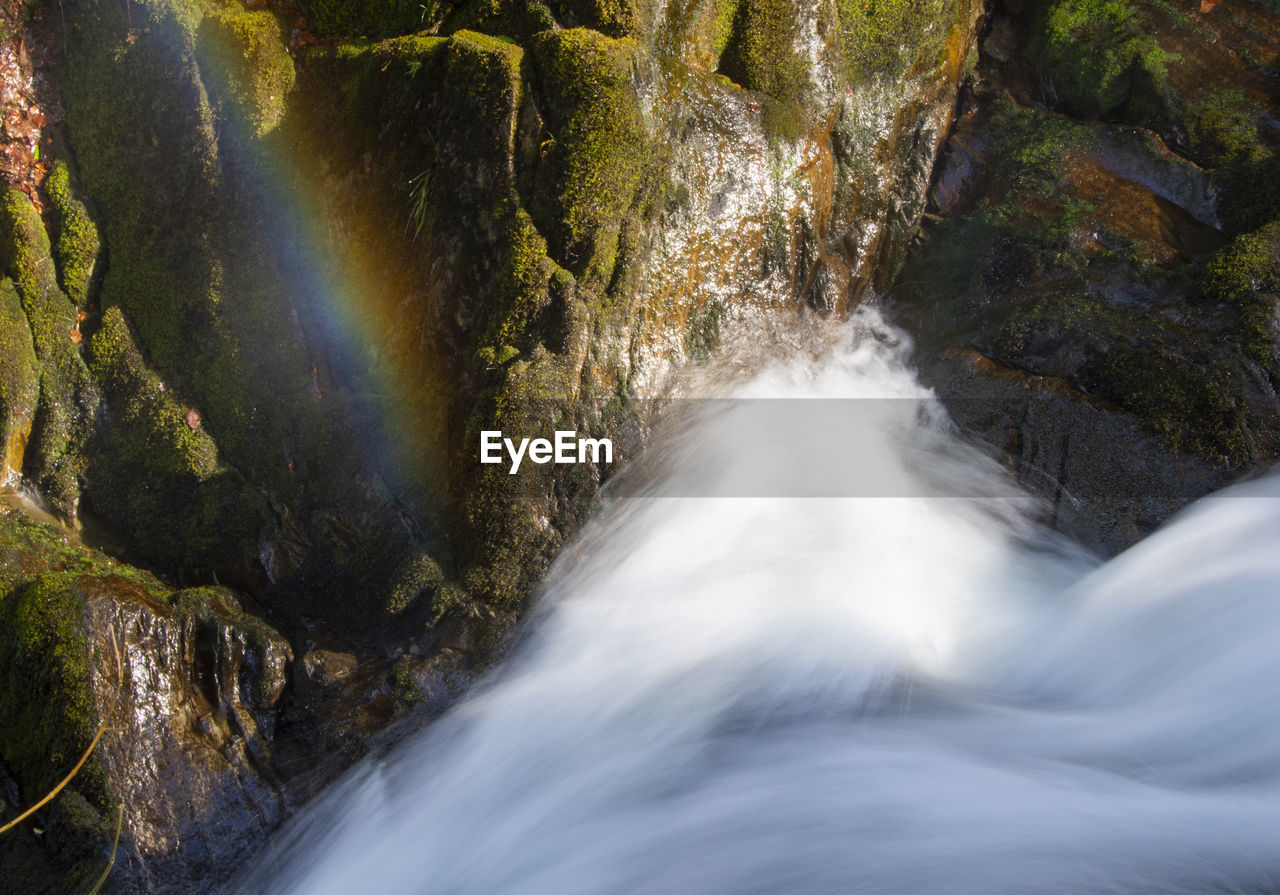 WATERFALL IN FOREST