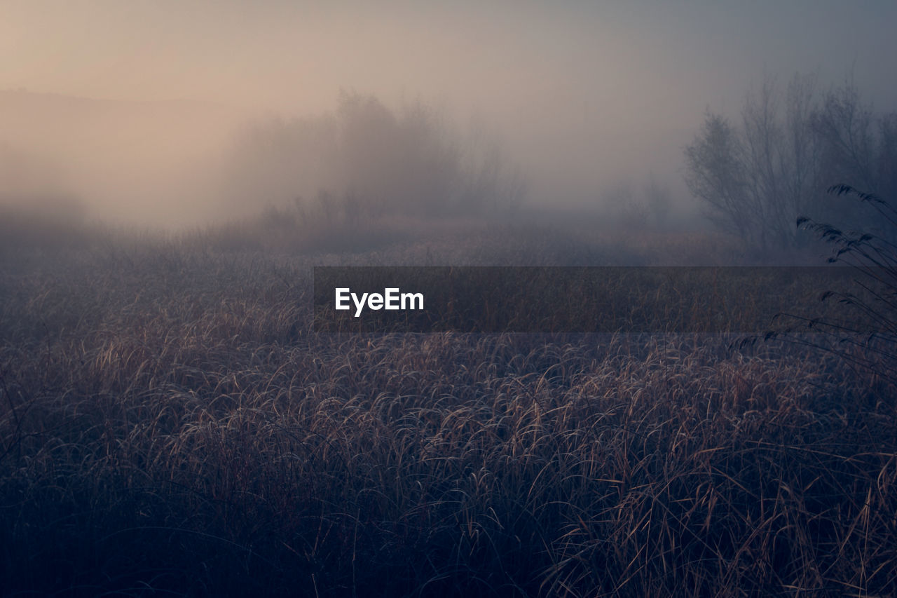 Scenic view of field against sky during sunset