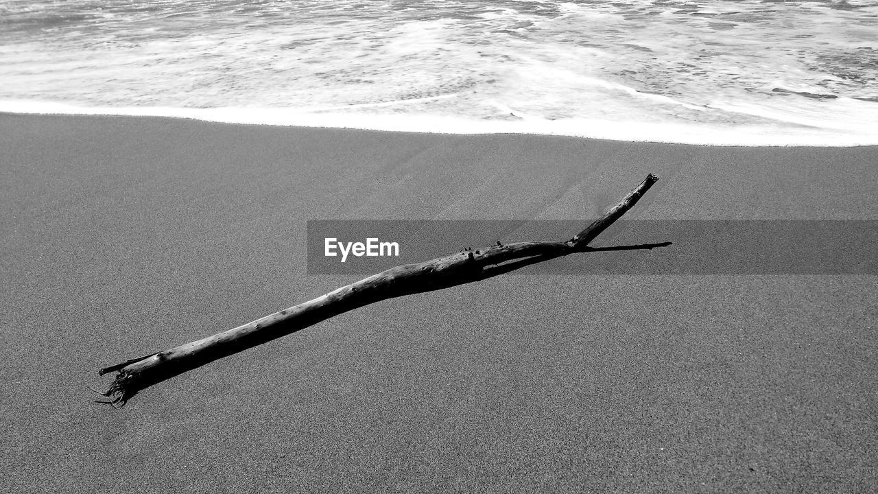 HIGH ANGLE VIEW OF DRIFTWOOD ON SAND
