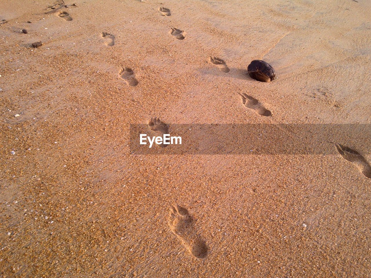 footprint at the sand Land Sand FootPrint High Angle View No People Nature Beach Day Brown Print Full Frame Track - Imprint Backgrounds Tranquility Sunlight Arid Climate