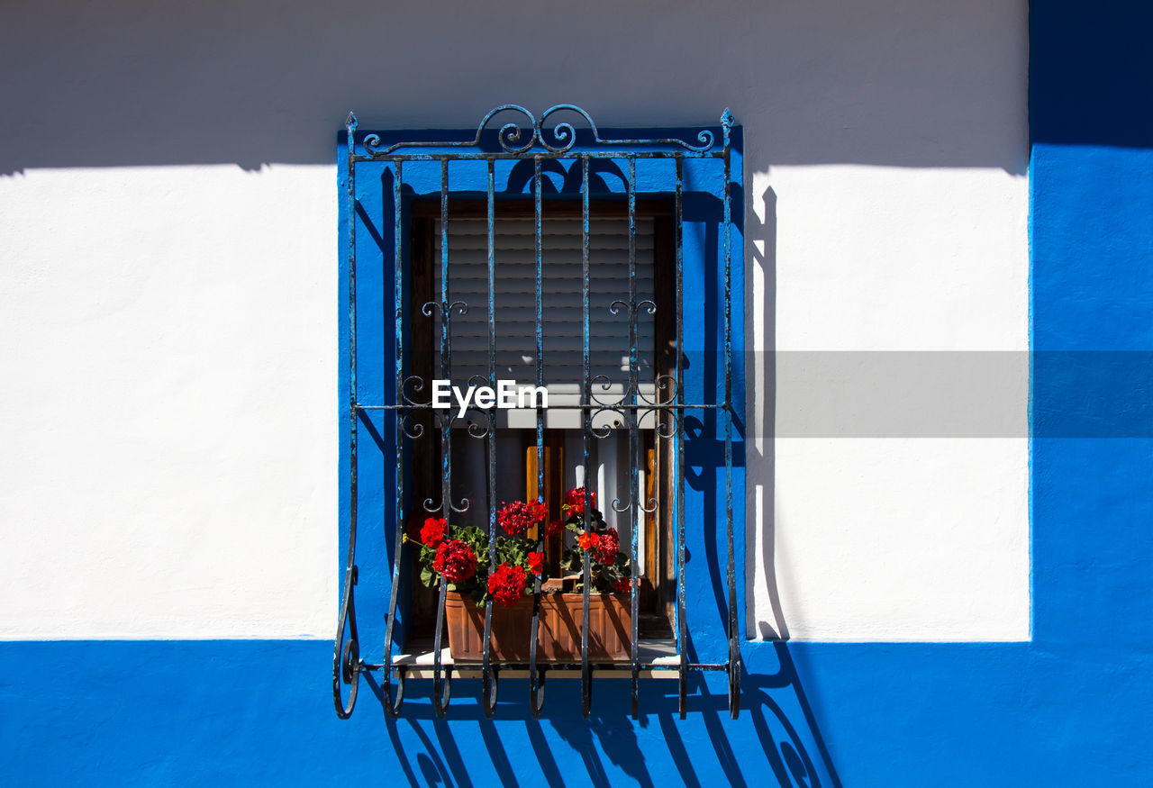 Potted plants at window on building