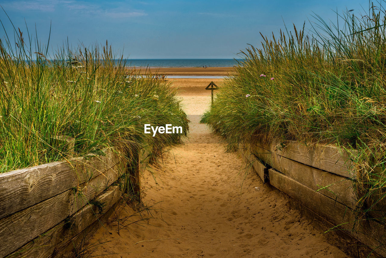 scenic view of beach