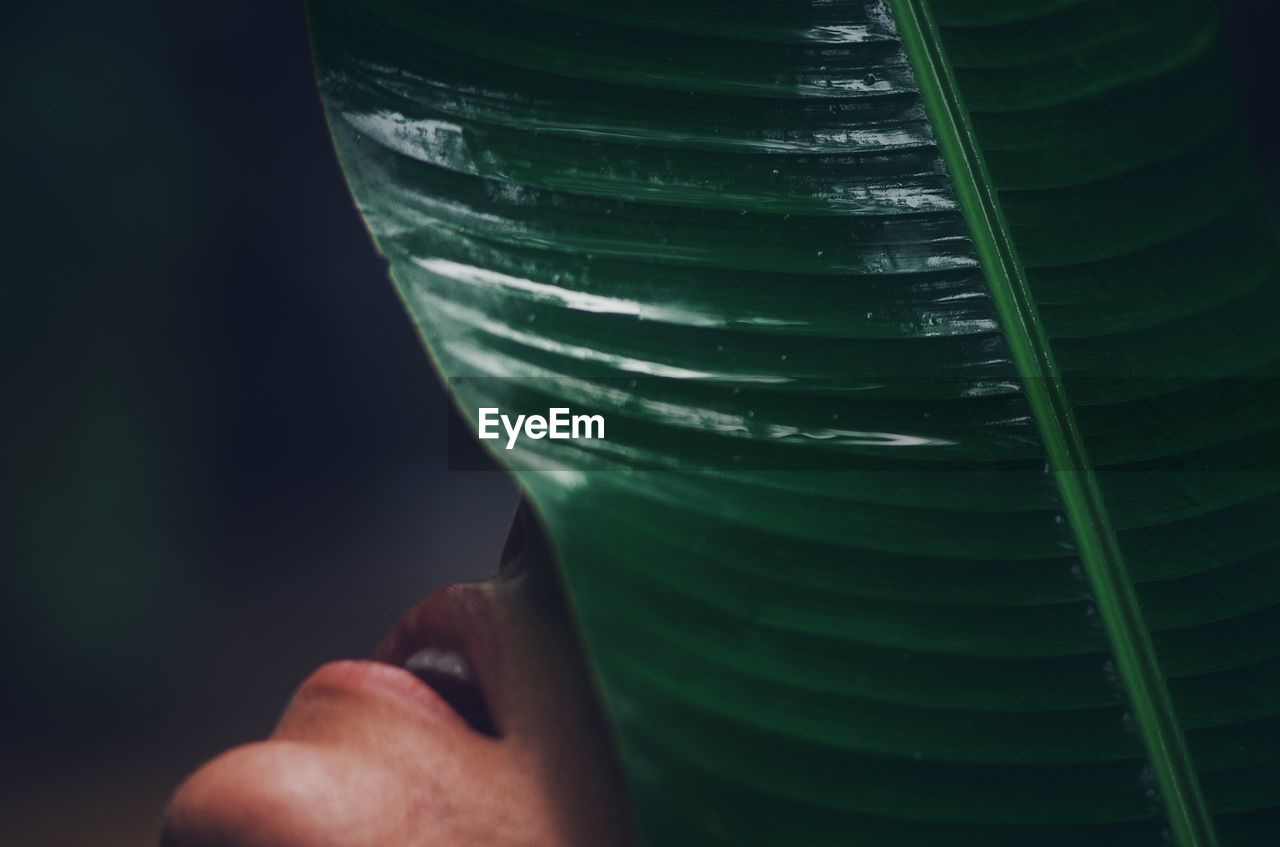 Cropped face of person next to a leaf