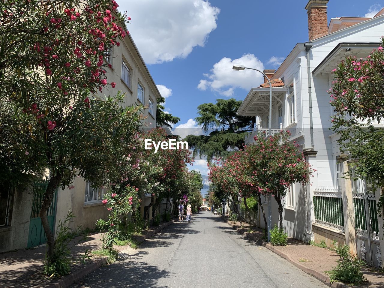 Flower street in buyukada, turkey