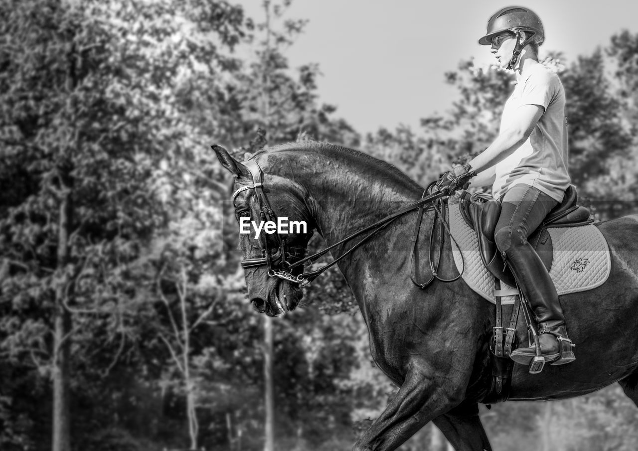 VIEW OF A HORSE RIDING