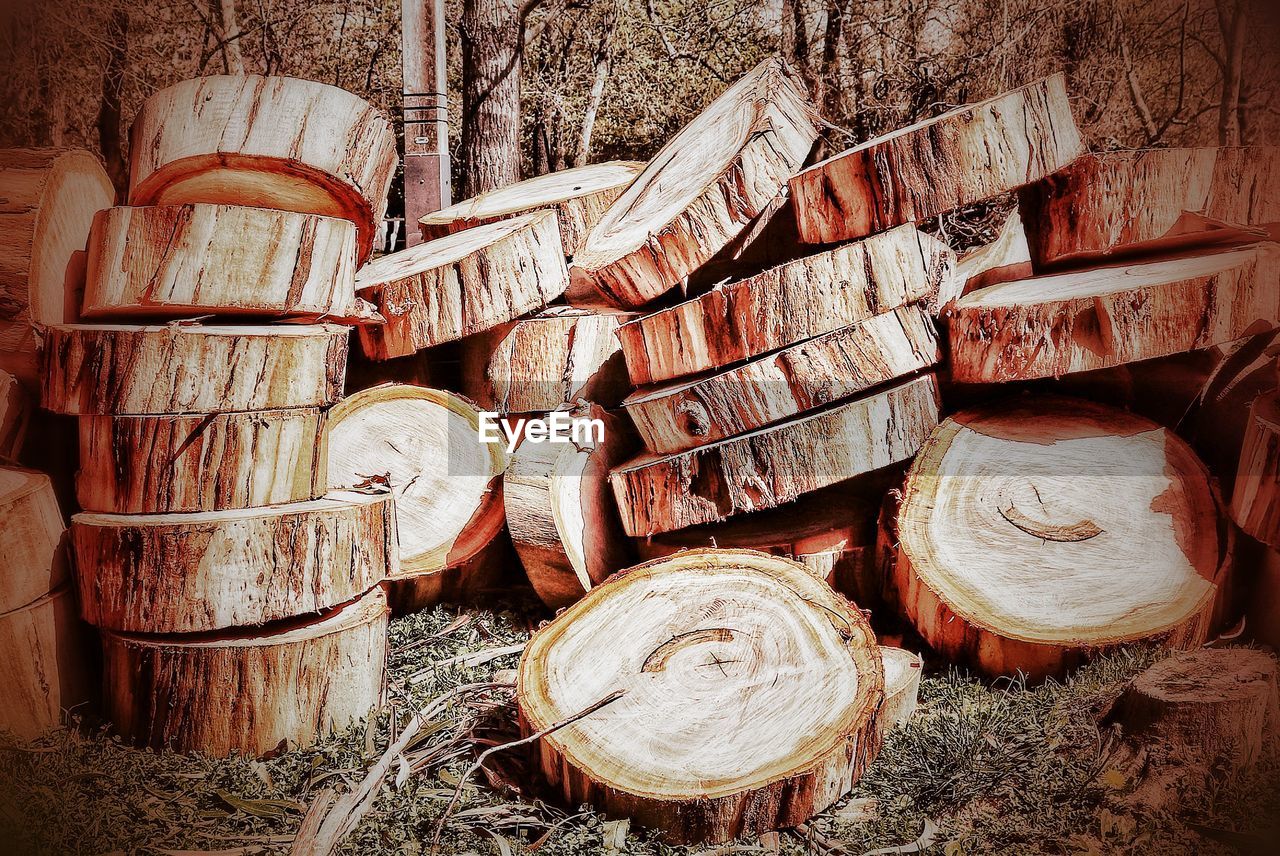 CLOSE-UP OF LOGS STACK