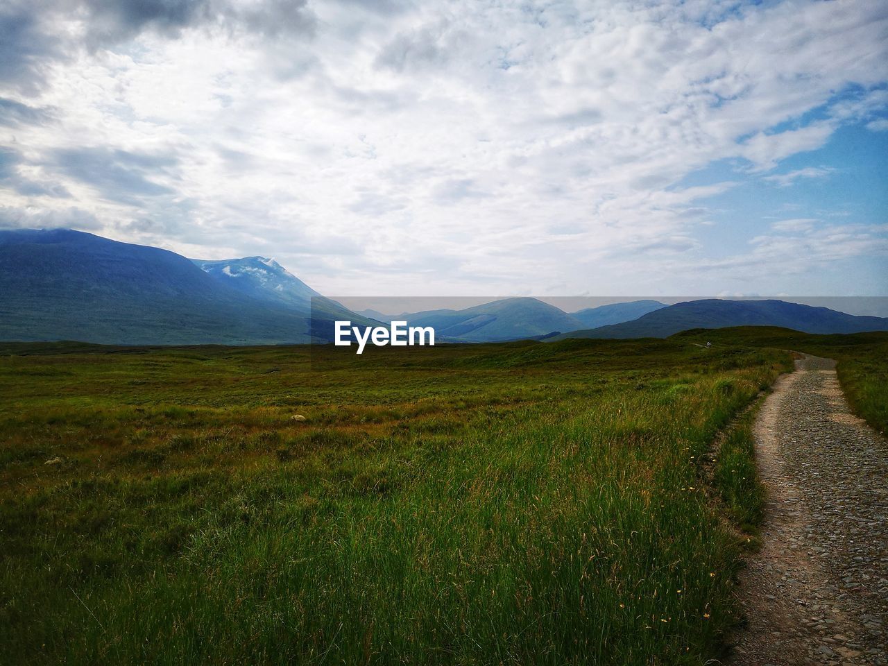 SCENIC VIEW OF GRASSY FIELD AGAINST SKY