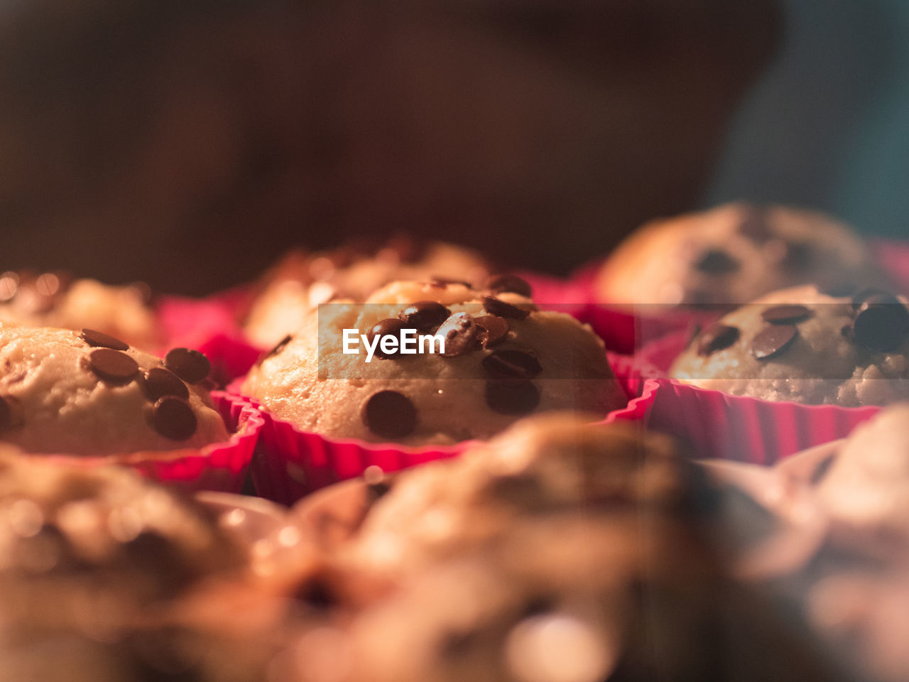 Close up of chocolate muffins in the oven