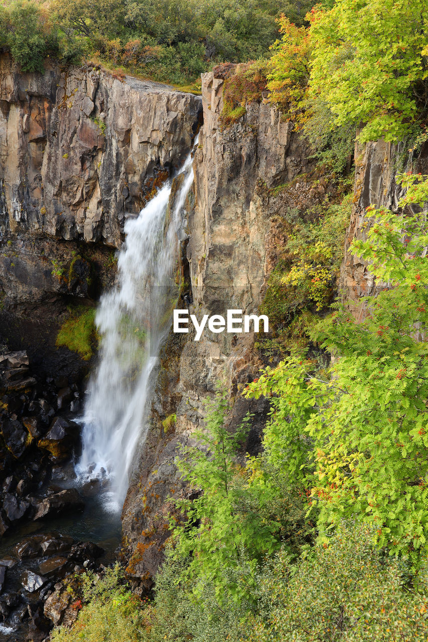 VIEW OF WATERFALL