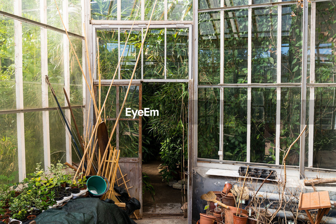 Old indoor garden or greenhouse with open glass door, terra cota clay flower pots, plant seedlings