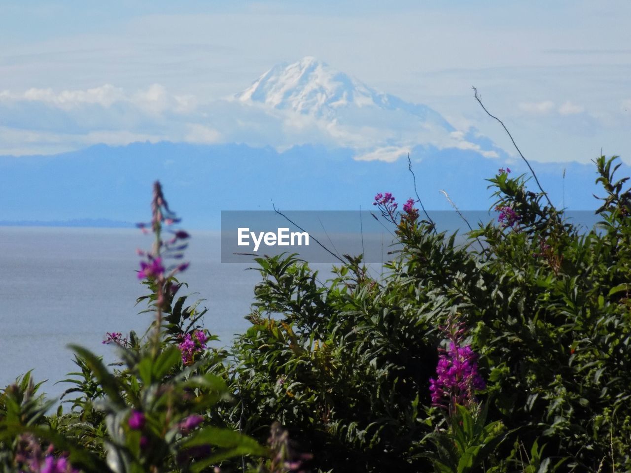 SCENIC VIEW OF SEA BY MOUNTAIN AGAINST SKY