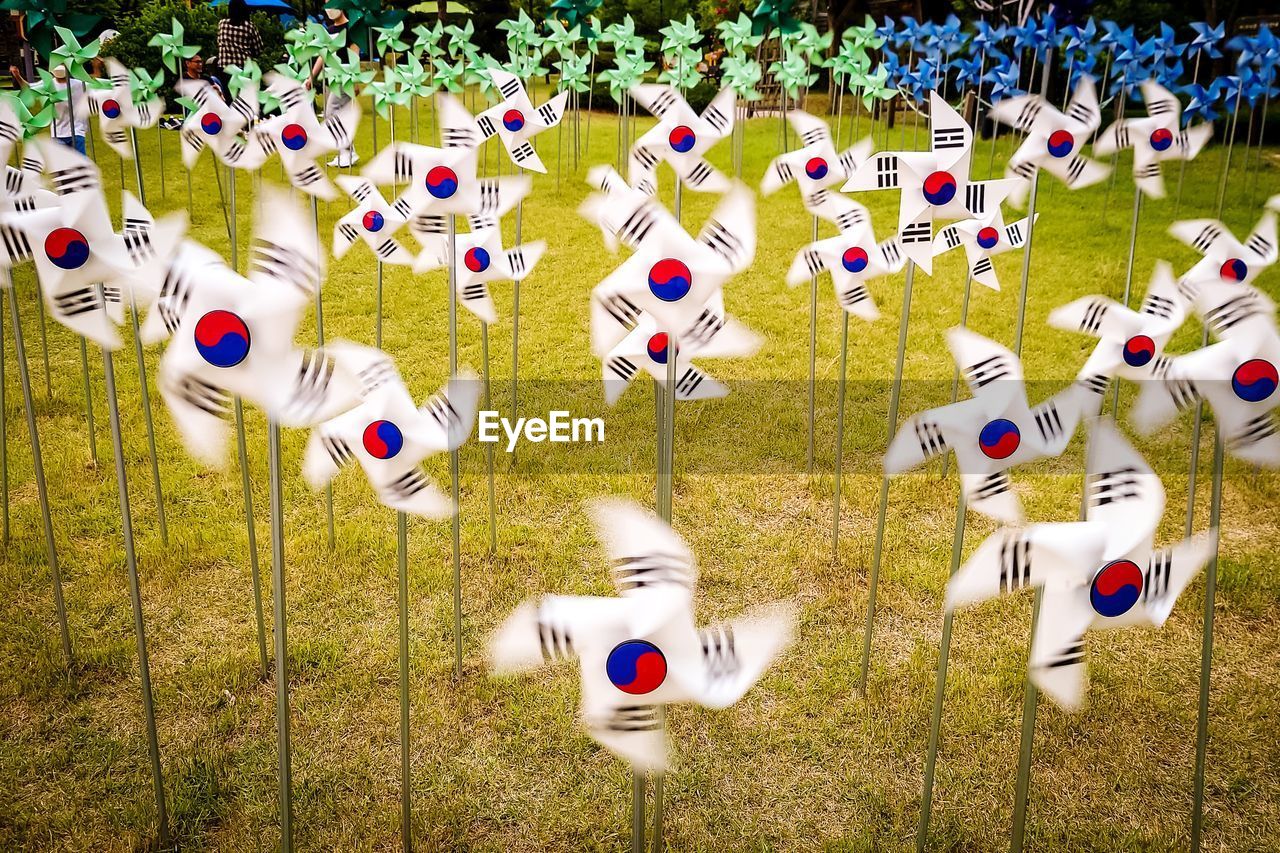 Korean flag windmills