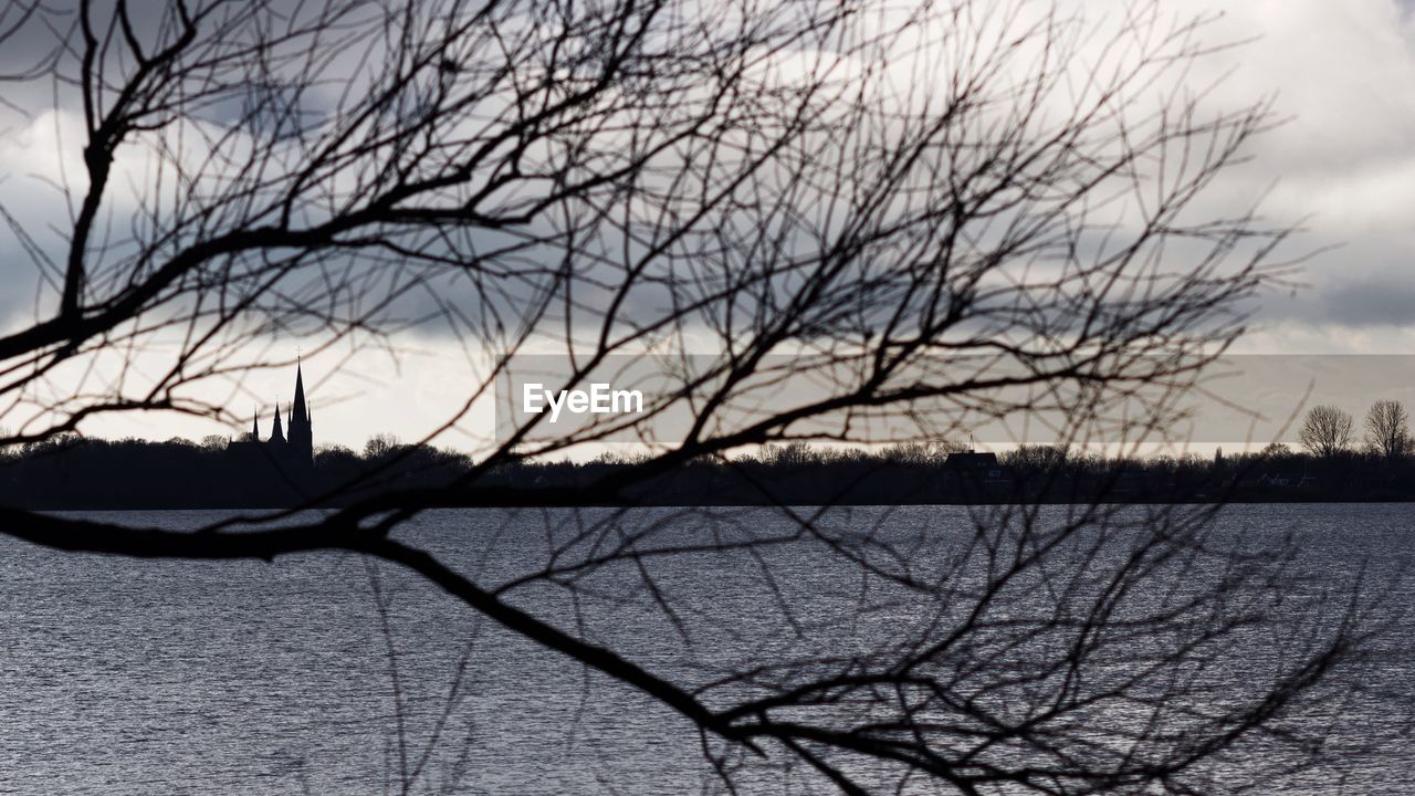 Calm lake with bare branches in foreground