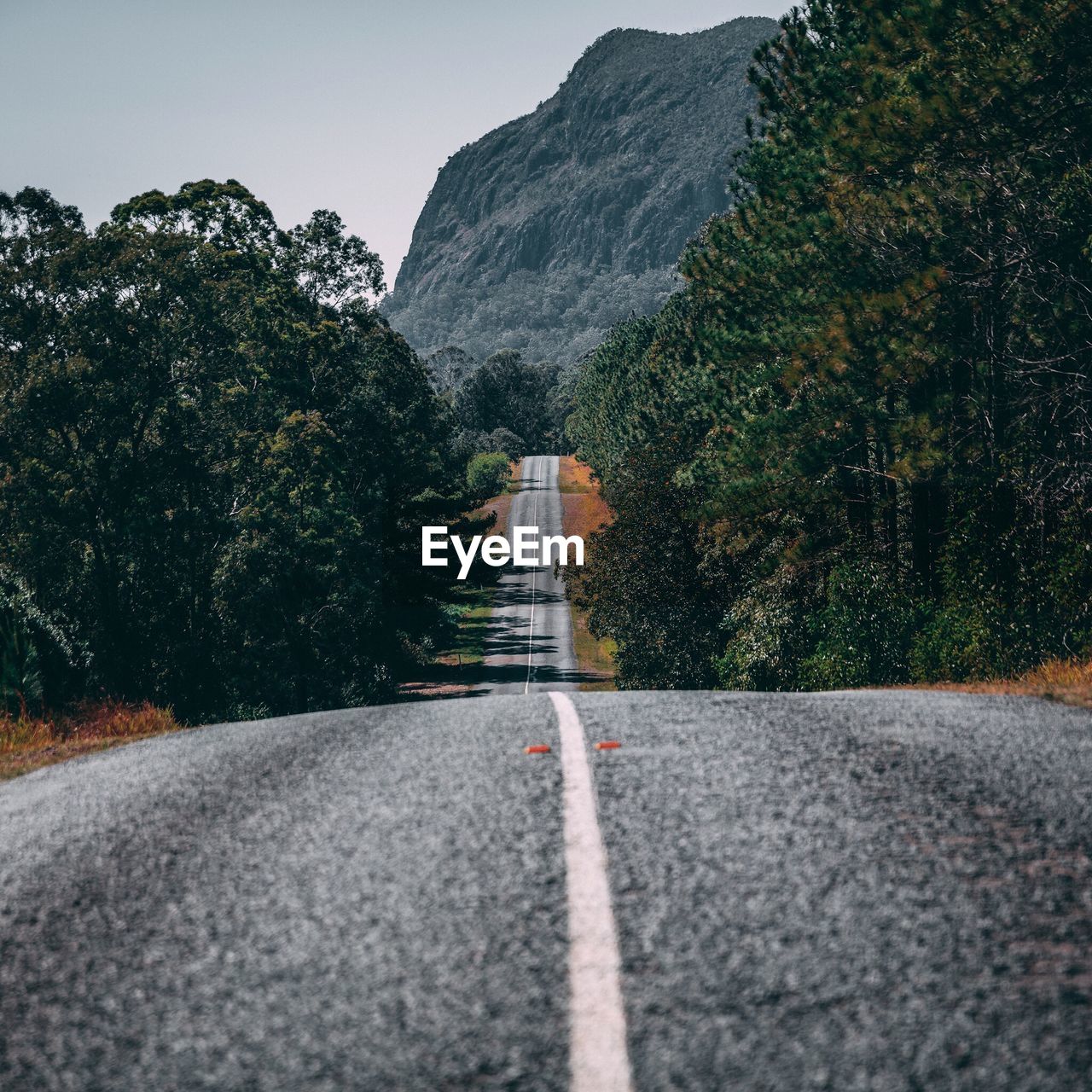 ROAD BY TREES AGAINST MOUNTAINS