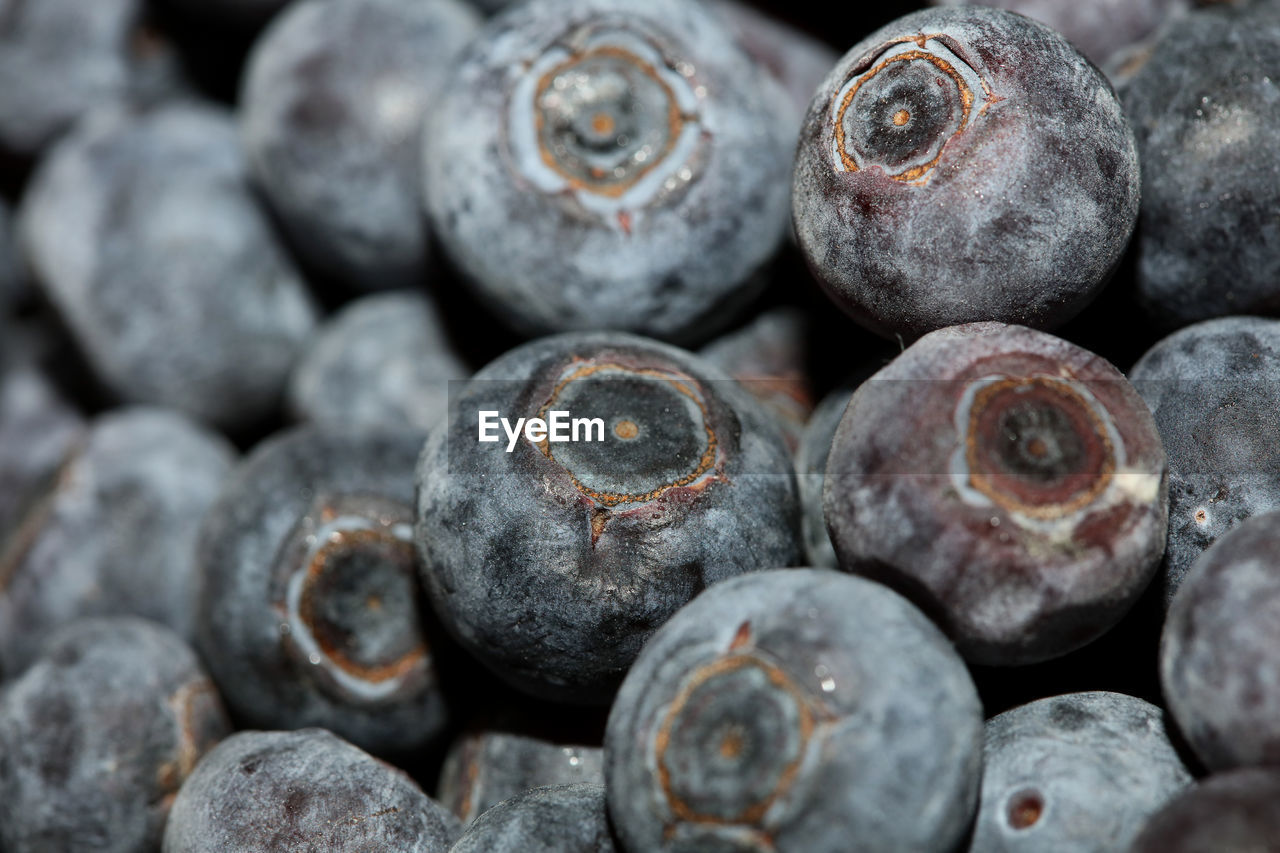 Full frame shot of blueberries