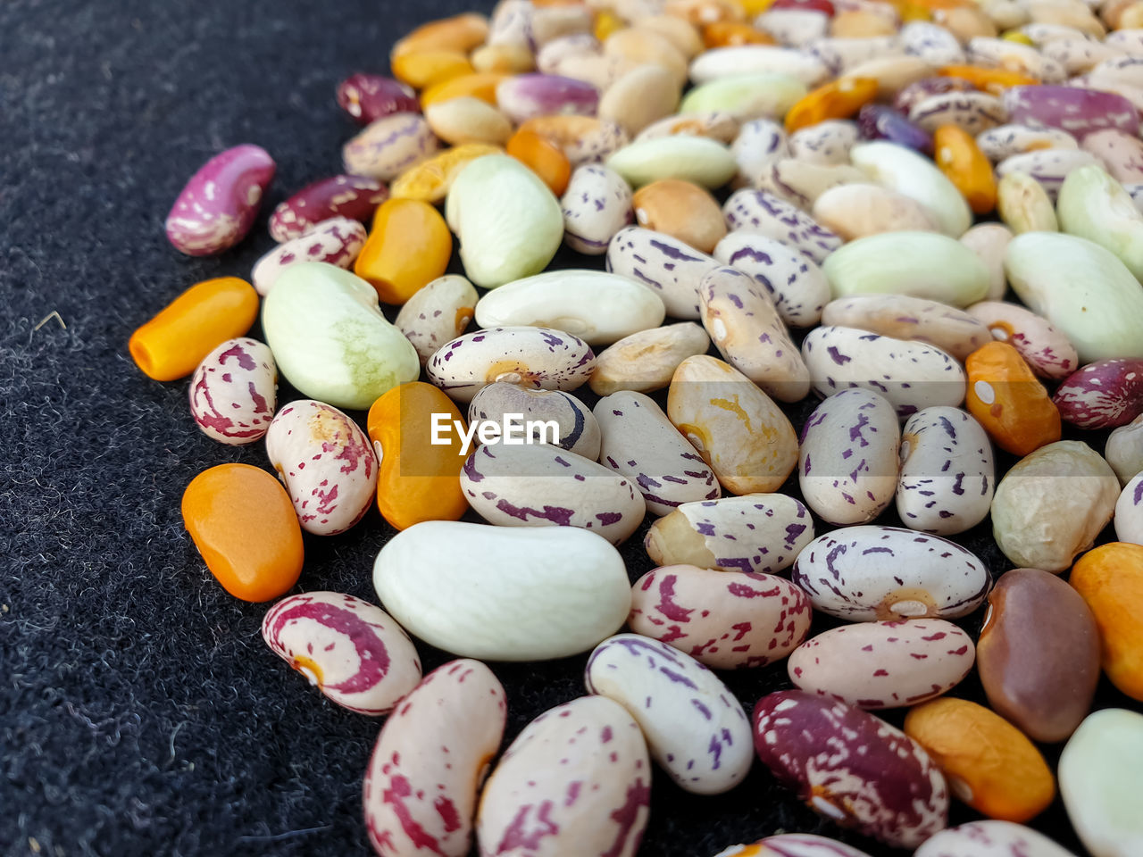 High angle view of multi colored kidney beans, legume family 