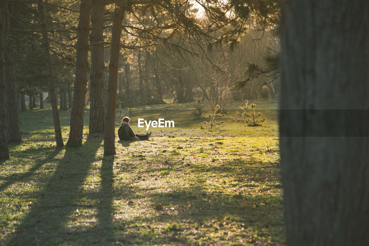 Rear view of man walking in forest