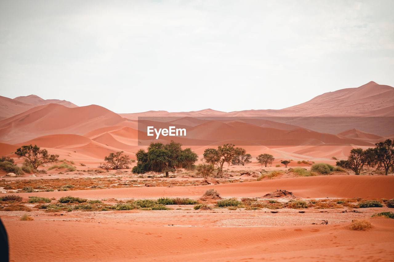 Scenic view of desert against clear sky