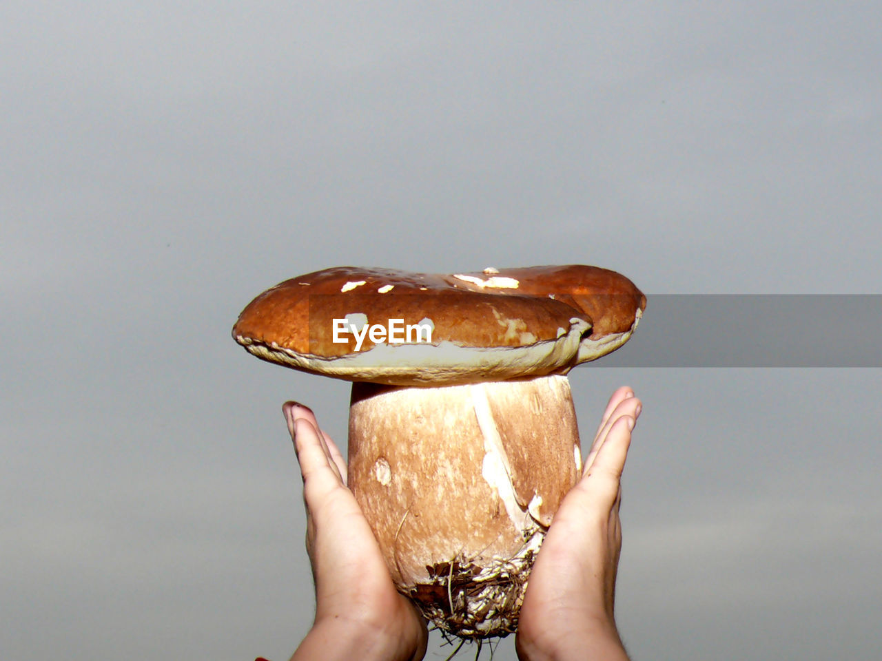 CLOSE-UP OF HAND HOLDING ICE CREAM CONE AGAINST GRAY BACKGROUND