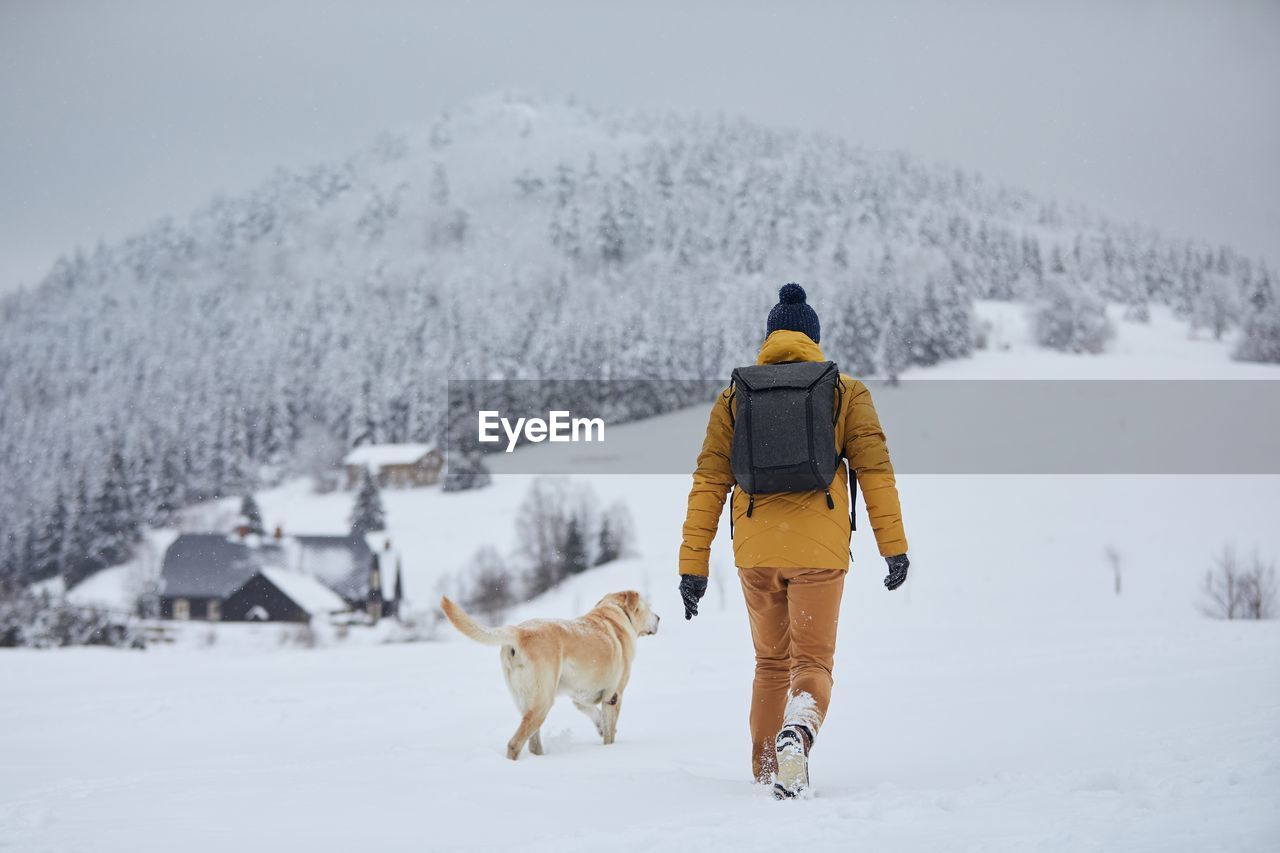 Rear view of man walking with dog on snow covered land
