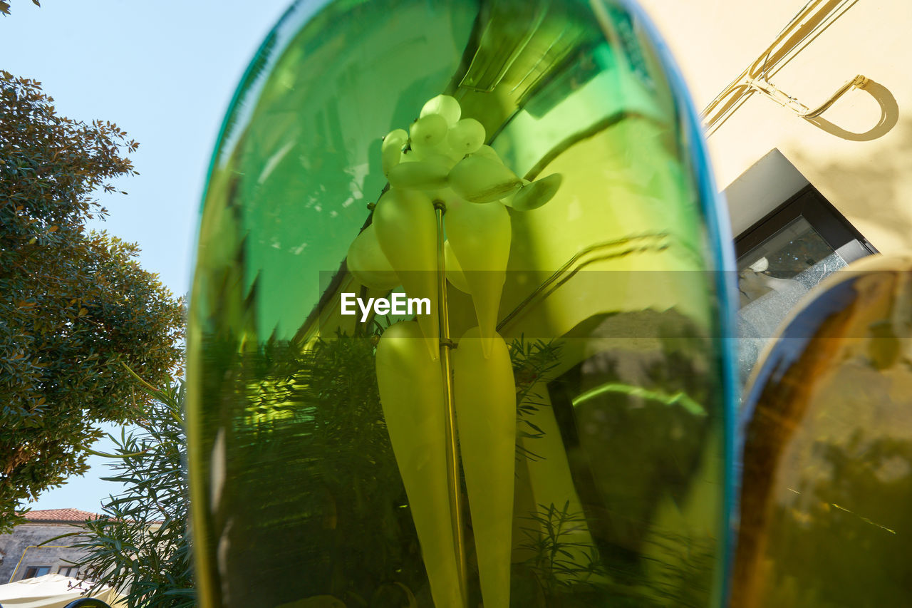 LOW ANGLE VIEW OF YELLOW LEAF ON GLASS