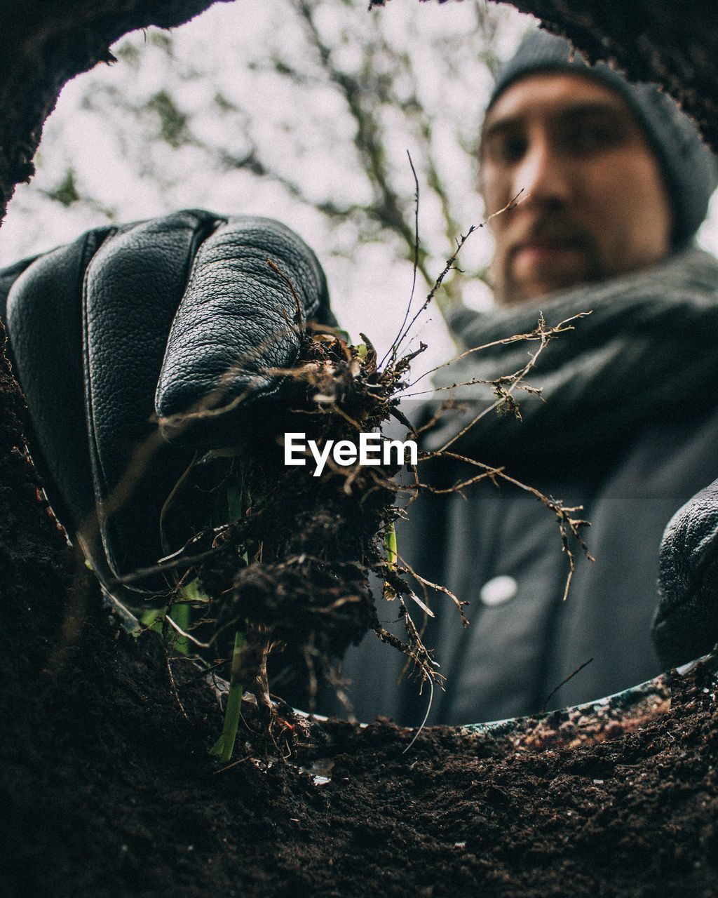 Close-up of young man holding insect against tree