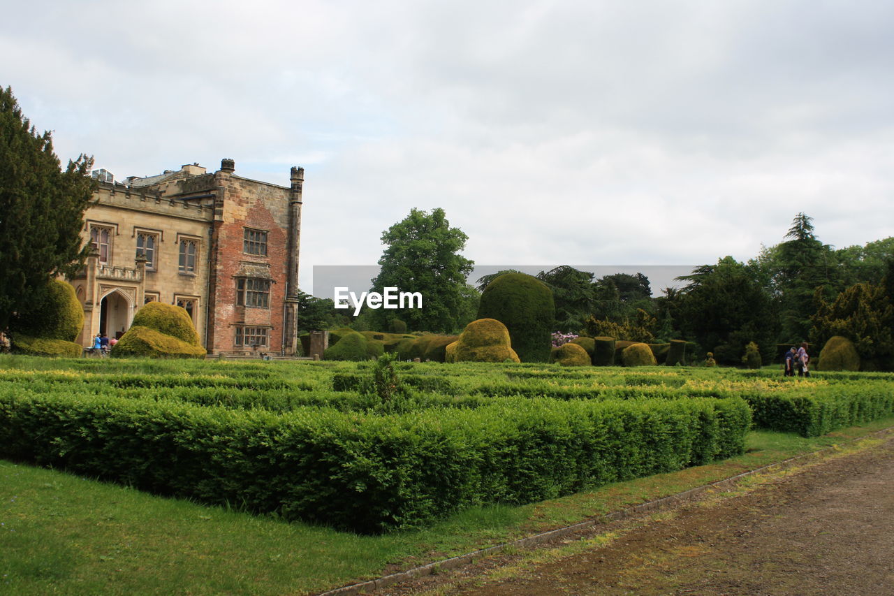 PANORAMIC VIEW OF FIELD AGAINST SKY