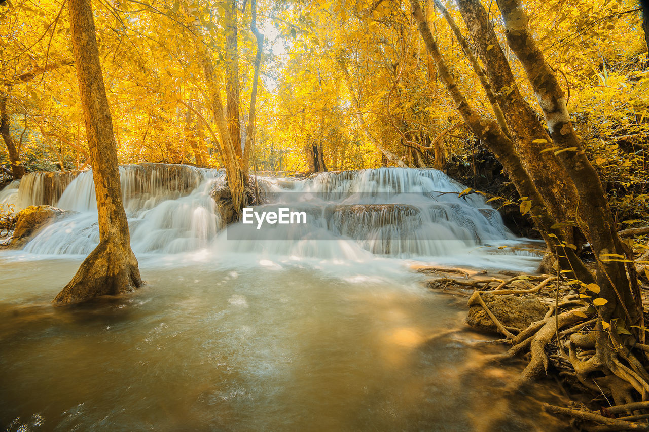 SCENIC VIEW OF WATERFALL IN FOREST