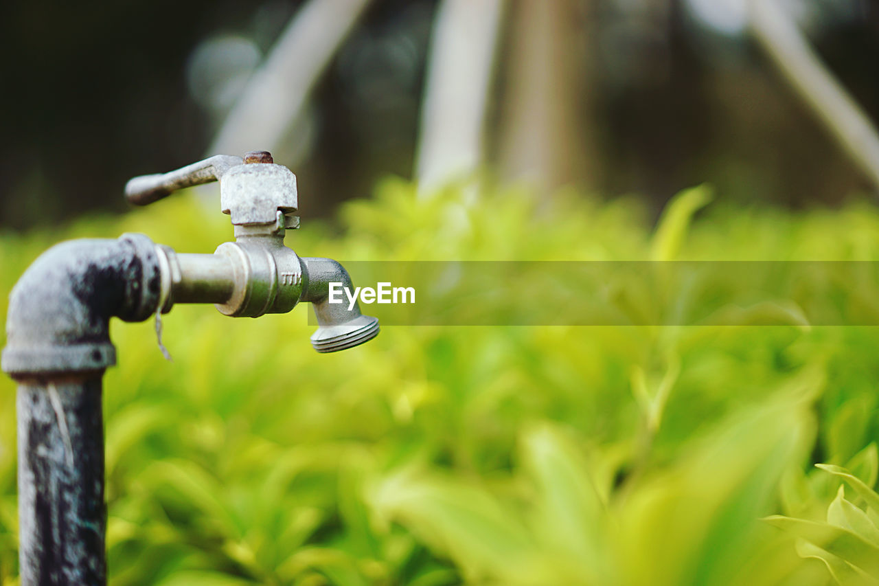 Close-up of water pipe on field