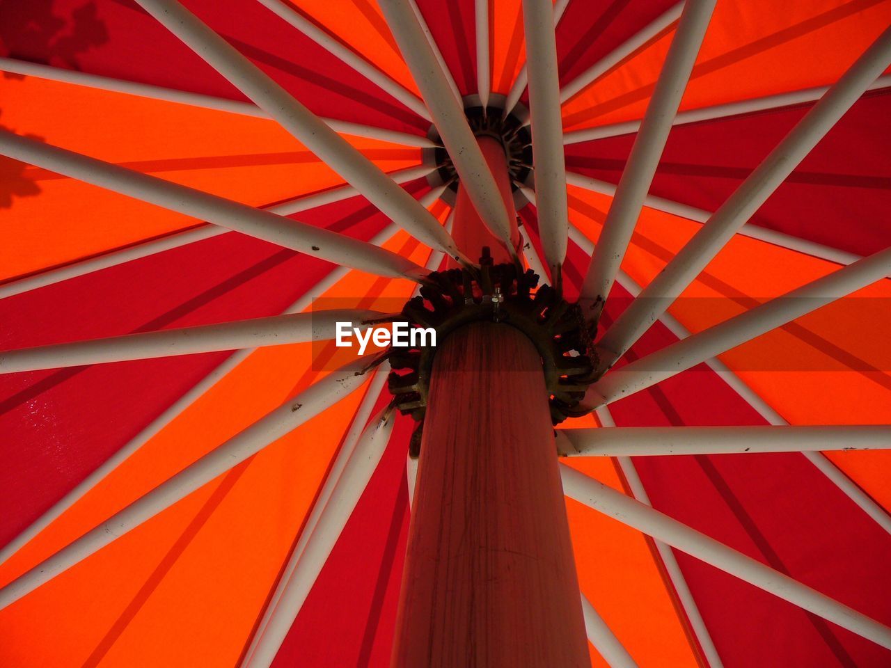 LOW ANGLE VIEW OF RED UMBRELLA
