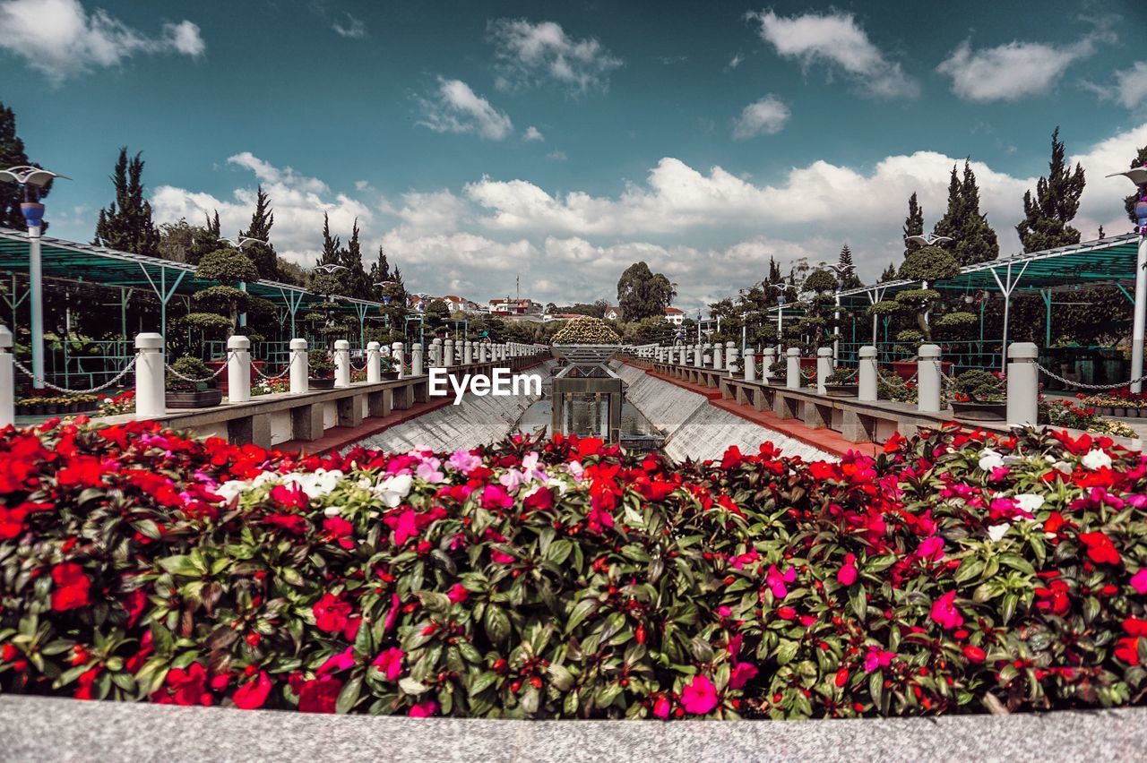 FLOWERING PLANTS AGAINST RAILING