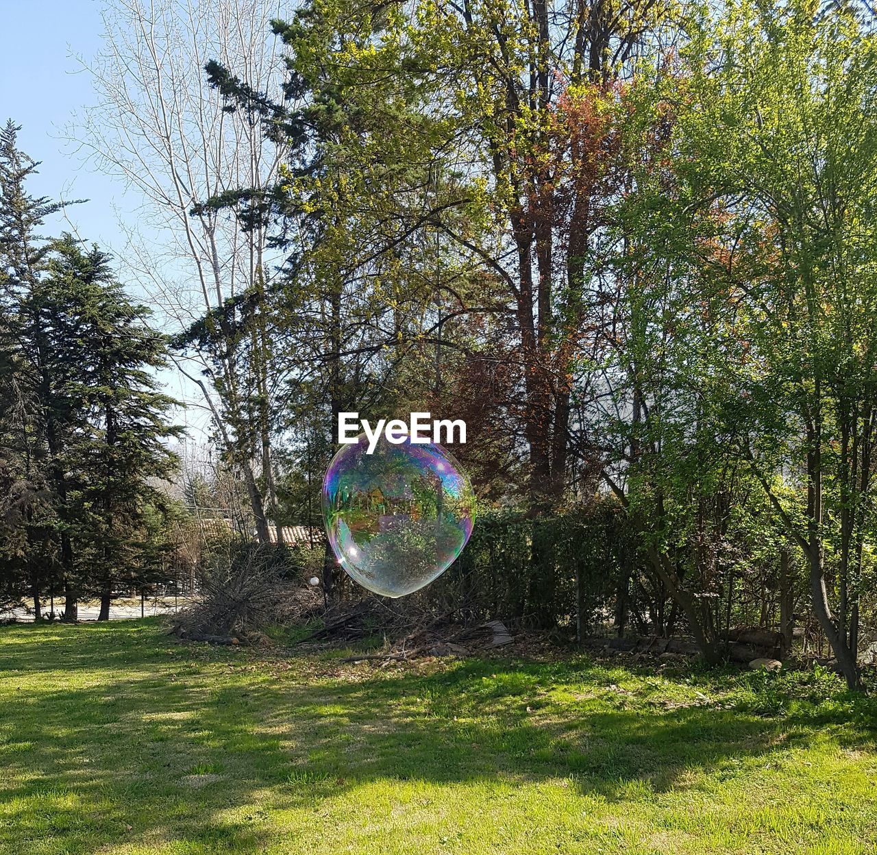 Bubbles in park against sky