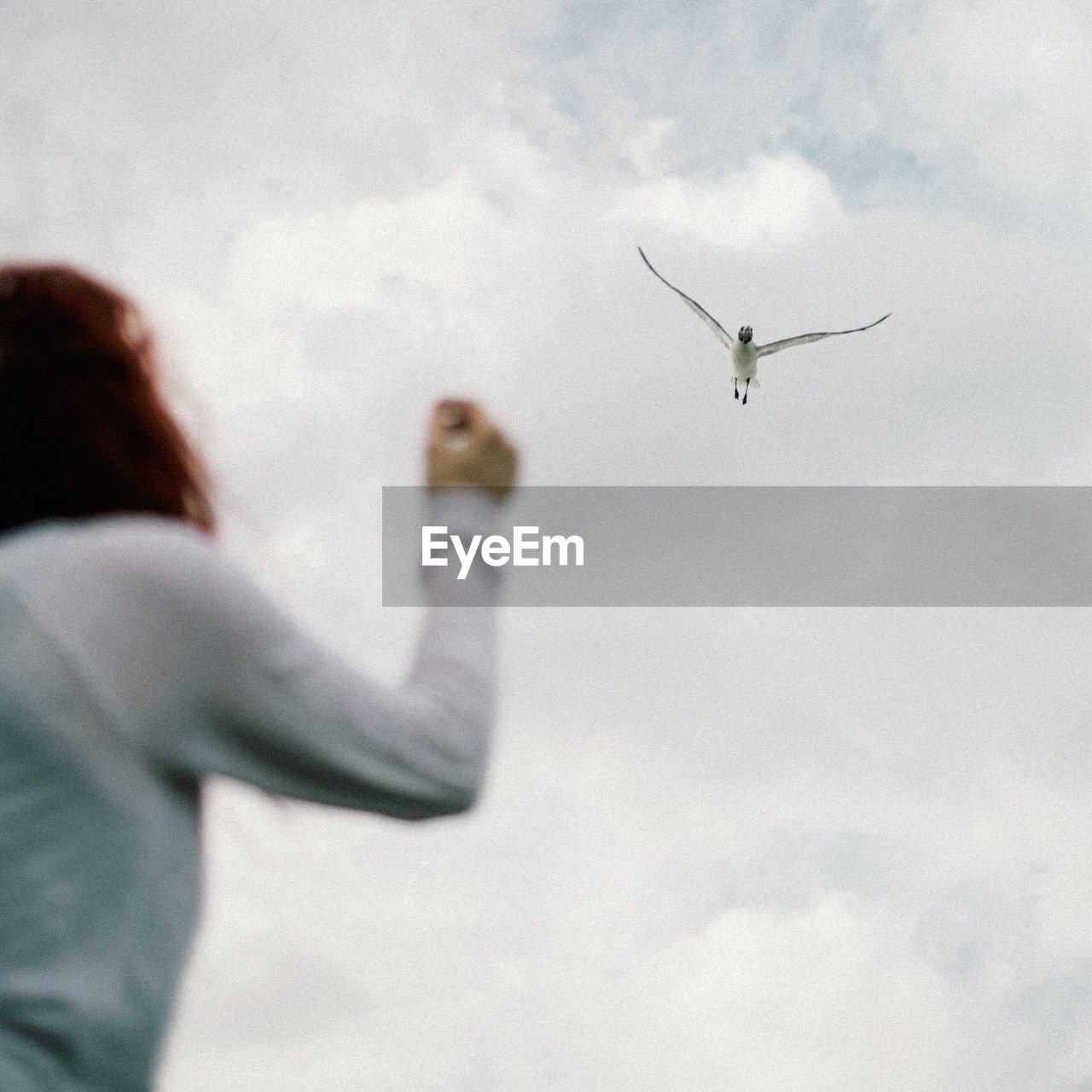 Low angle view of woman against seagull and sky