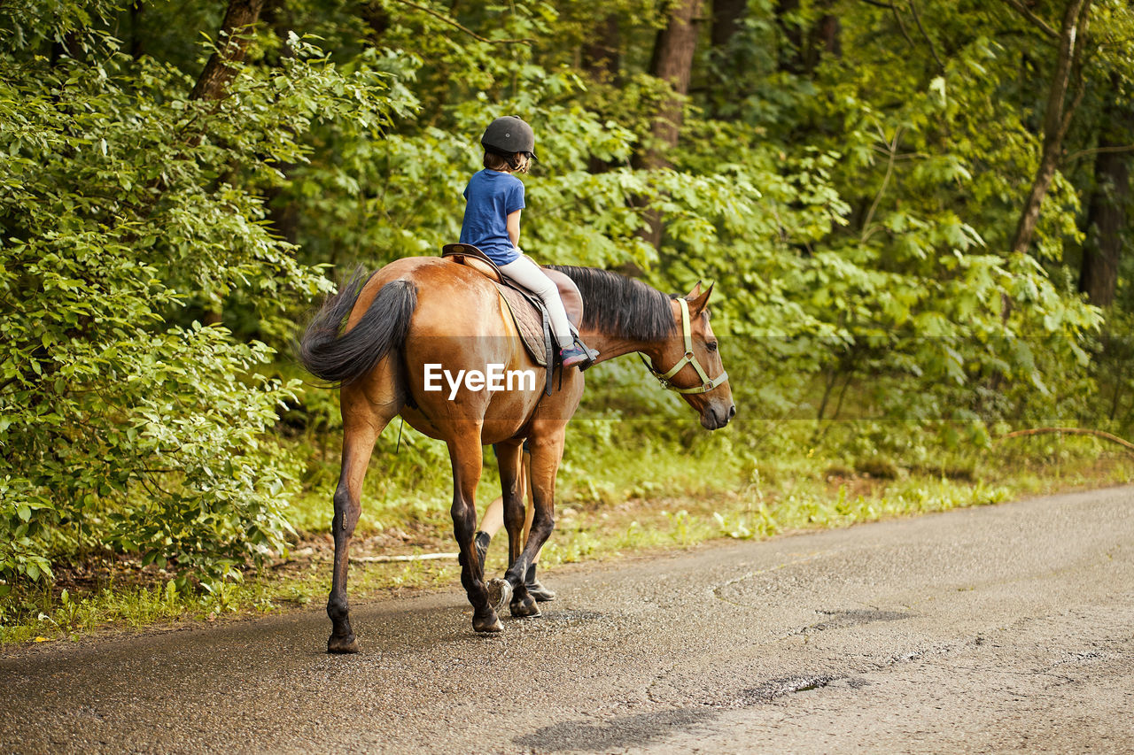 Rear view of girl riding horse on the road