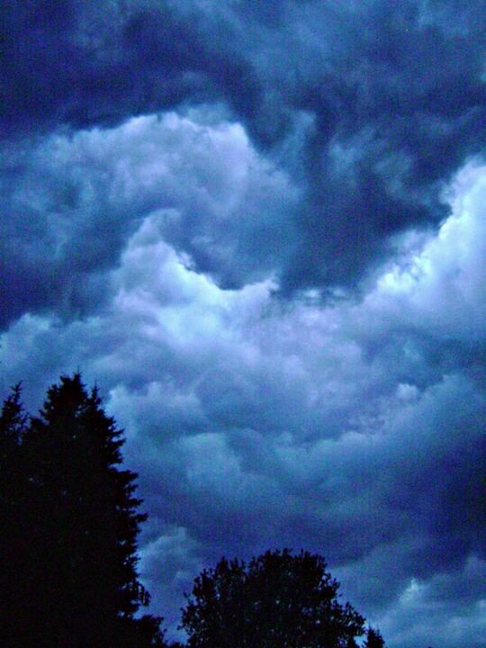 LOW ANGLE VIEW OF DRAMATIC SKY OVER TREES