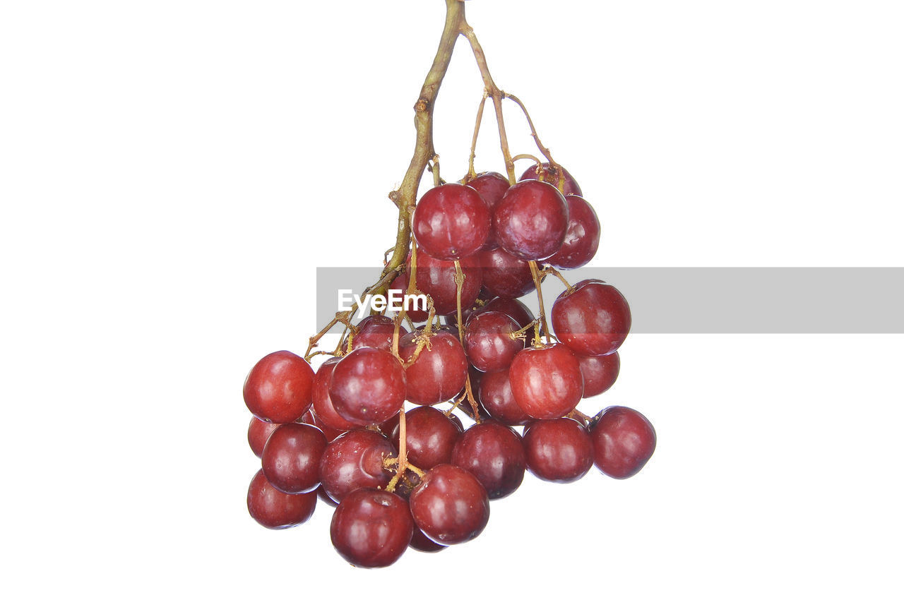 Close-up of red grapes against white background