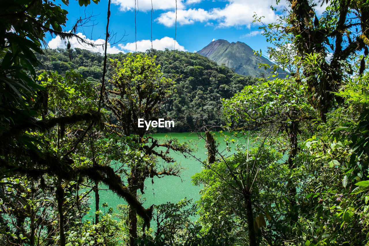 Scenic view of lagoon in the crater of a volcano. cerro chato in costa rica, in front of arenal.