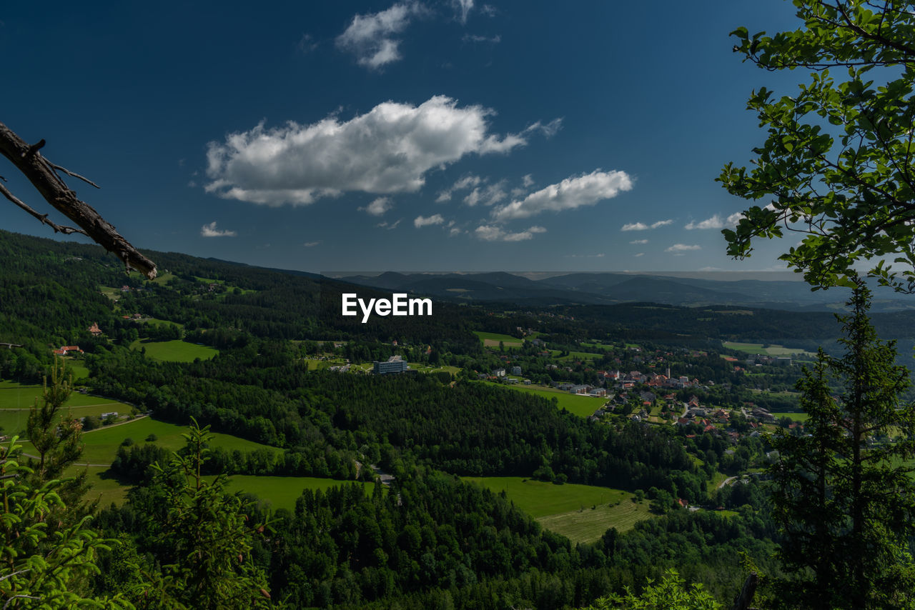 SCENIC VIEW OF TREES AND LANDSCAPE AGAINST SKY