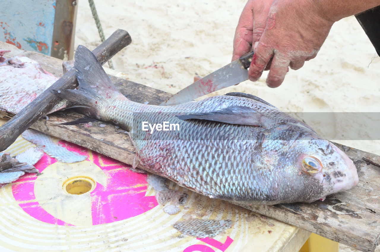 Cropped hand of man slicing fish at market stall