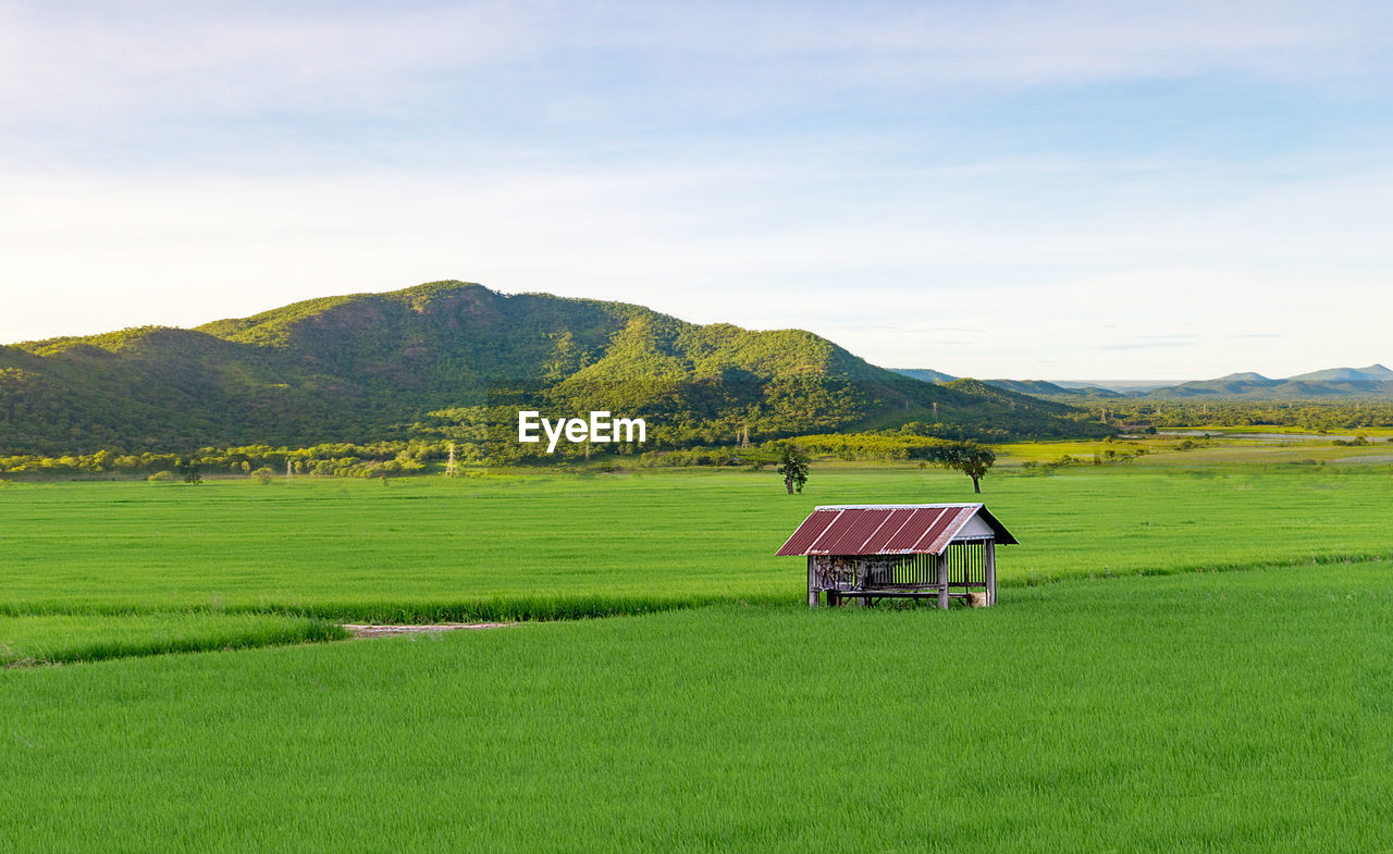Scenic view of field and mountains against sky