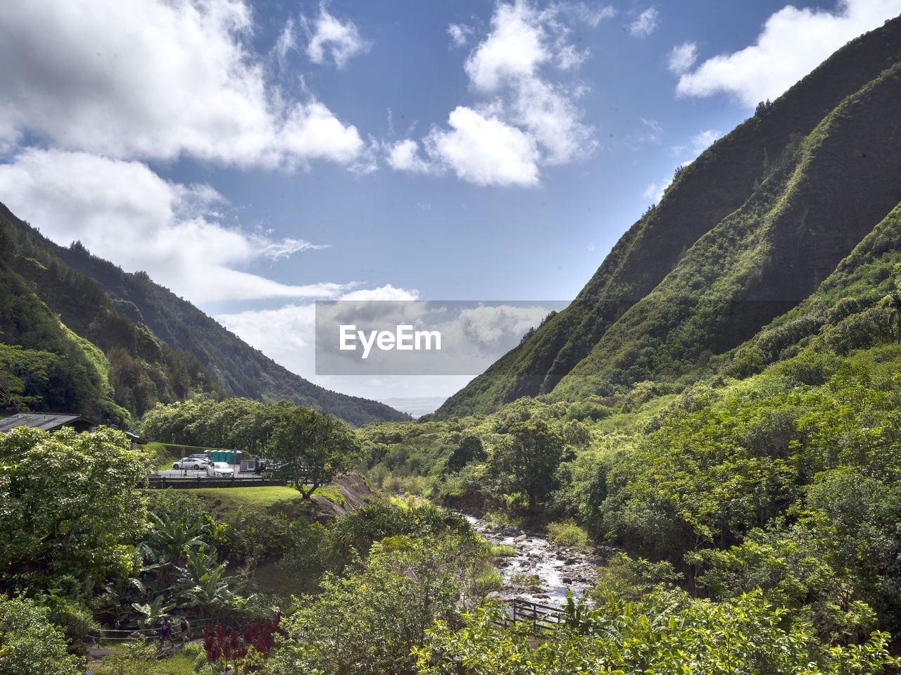 SCENIC VIEW OF TREE MOUNTAINS AGAINST SKY