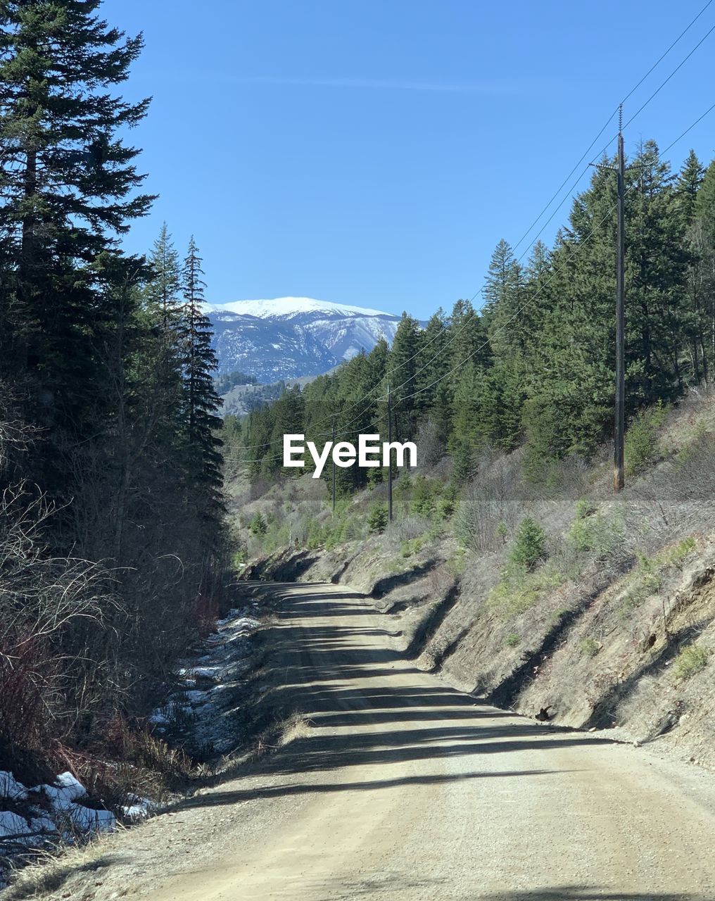 Dirt road amidst trees and mountains against sky