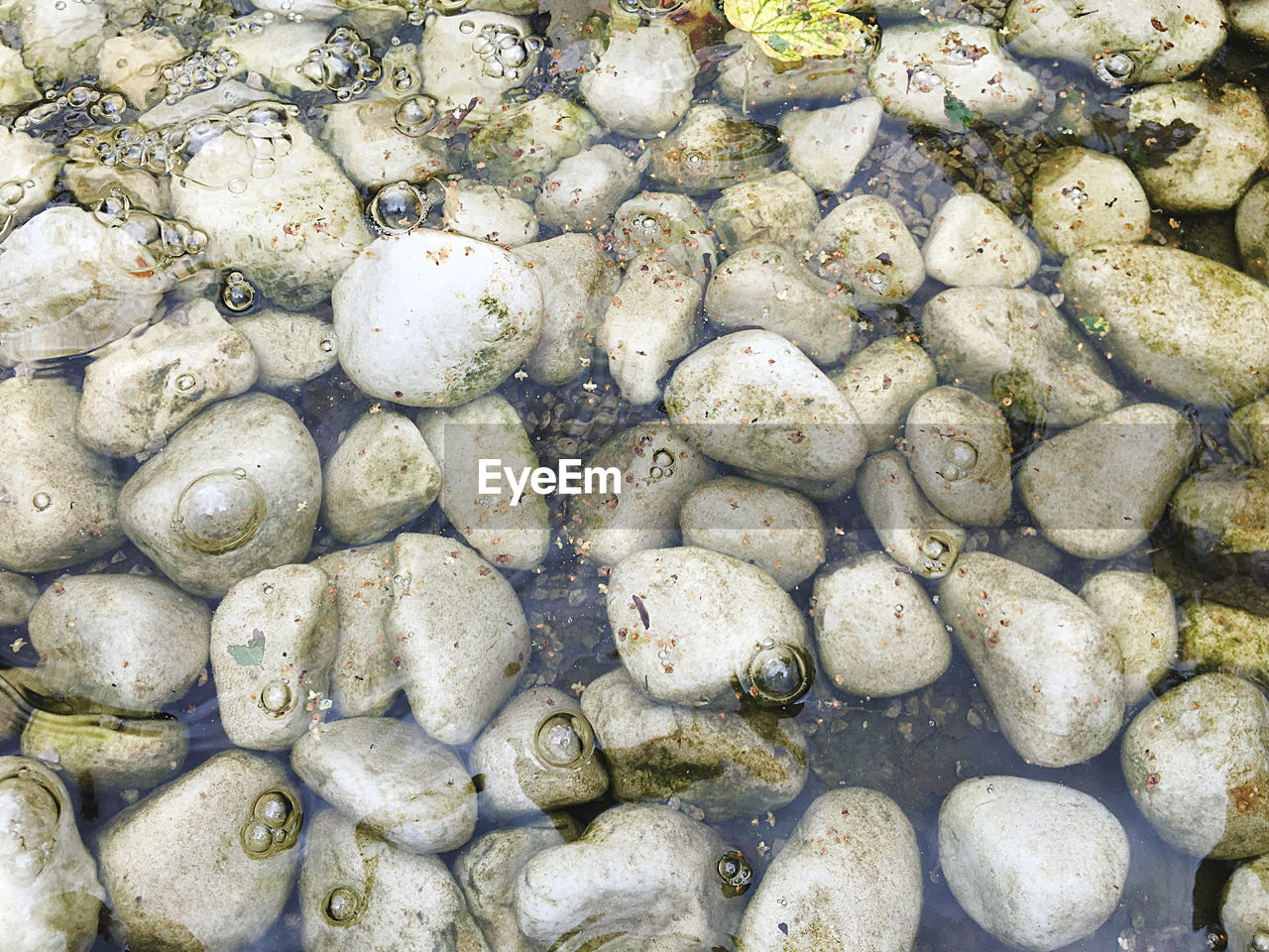 HIGH ANGLE VIEW OF PEBBLES IN SPRING