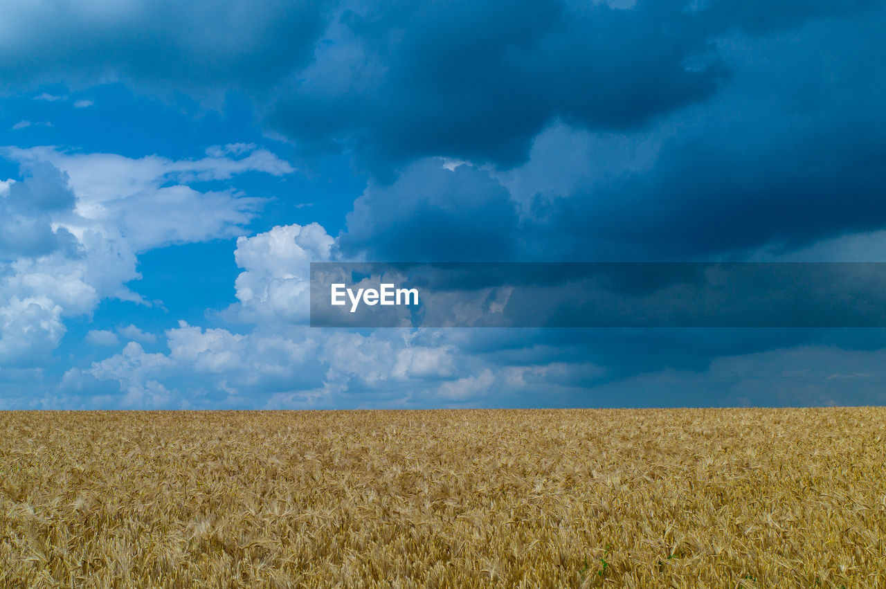 SCENIC VIEW OF FARM AGAINST SKY