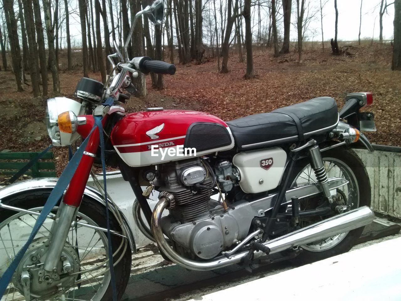 Side view of motorbike against trees on landscape