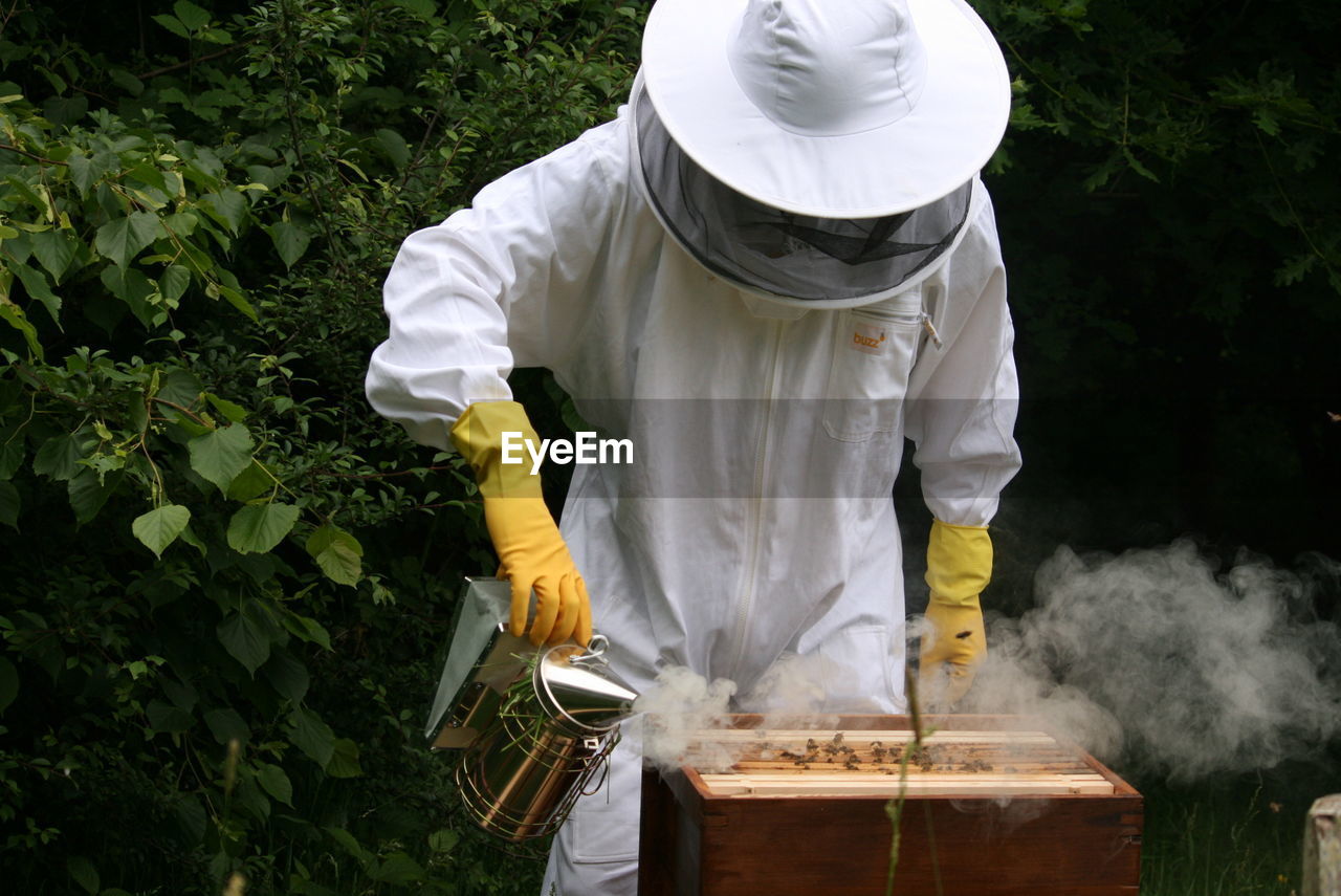Beekeeper in protective suit examining bees on honeycomb