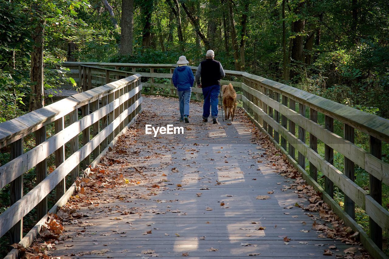 Rear view of people with dog walking on footbridge in forest