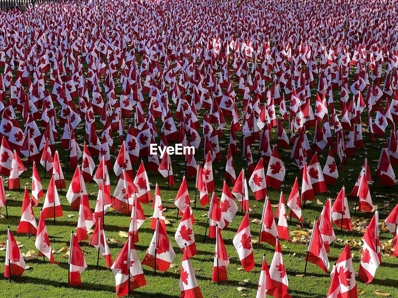 marching, group of people, crowd, red, grass, stadium, musician, day, cheering, in a row, sports, event, large group of people, celebration, outdoors, clothing, nature, plant, high angle view